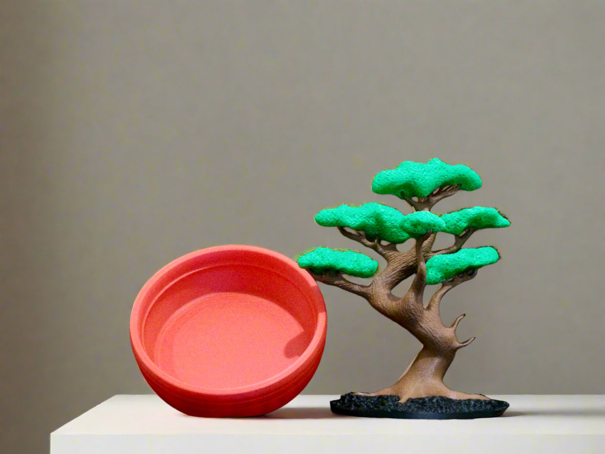 Bonsai tree