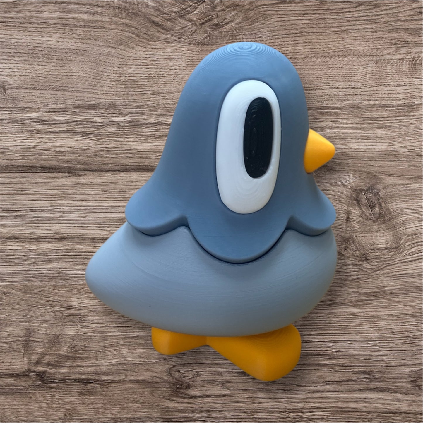 Cute Pigeon