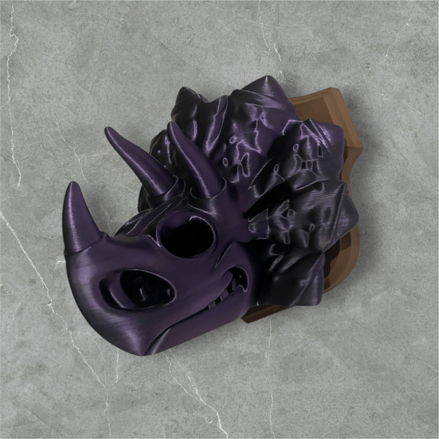 Triceratops Plaque