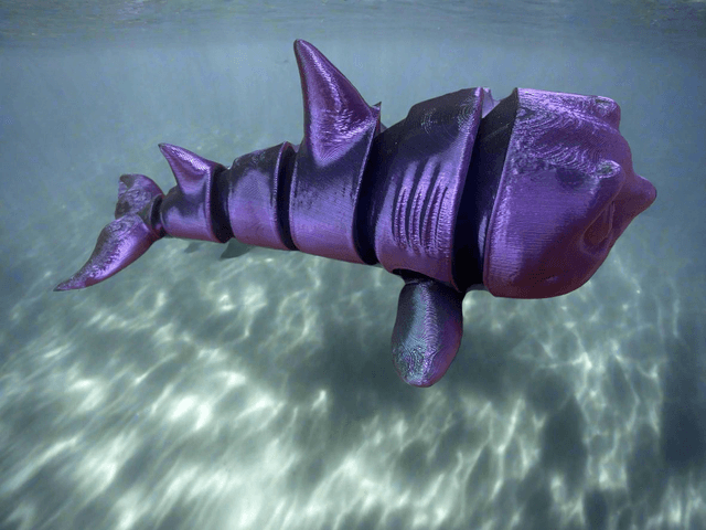 Shark