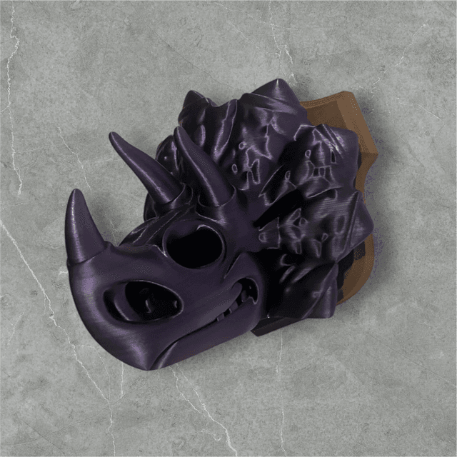 Triceratops Plaque