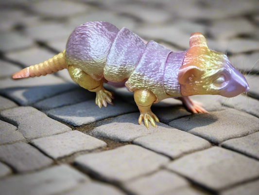 Rat