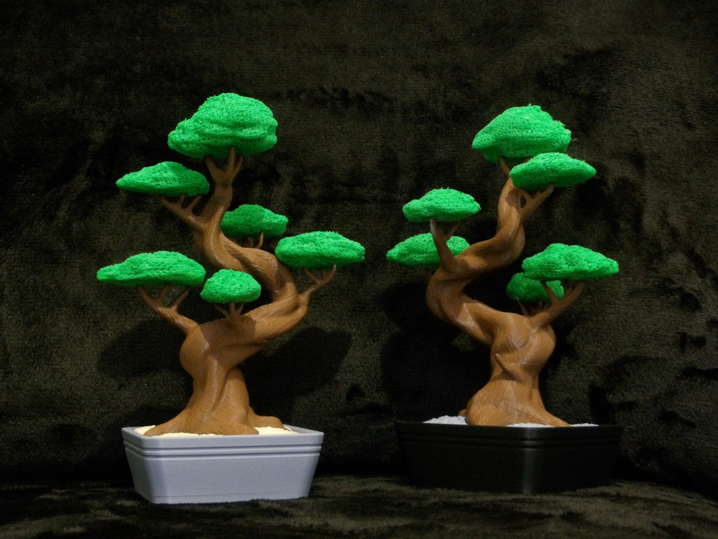 Bonsai tree
