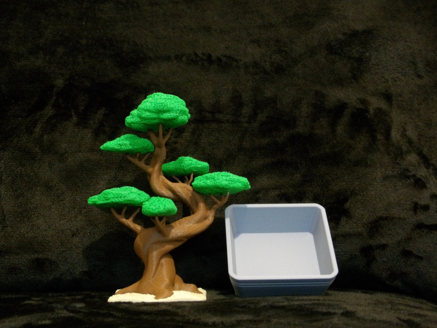 Bonsai tree