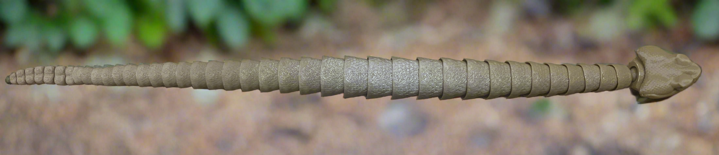 Rattle snake