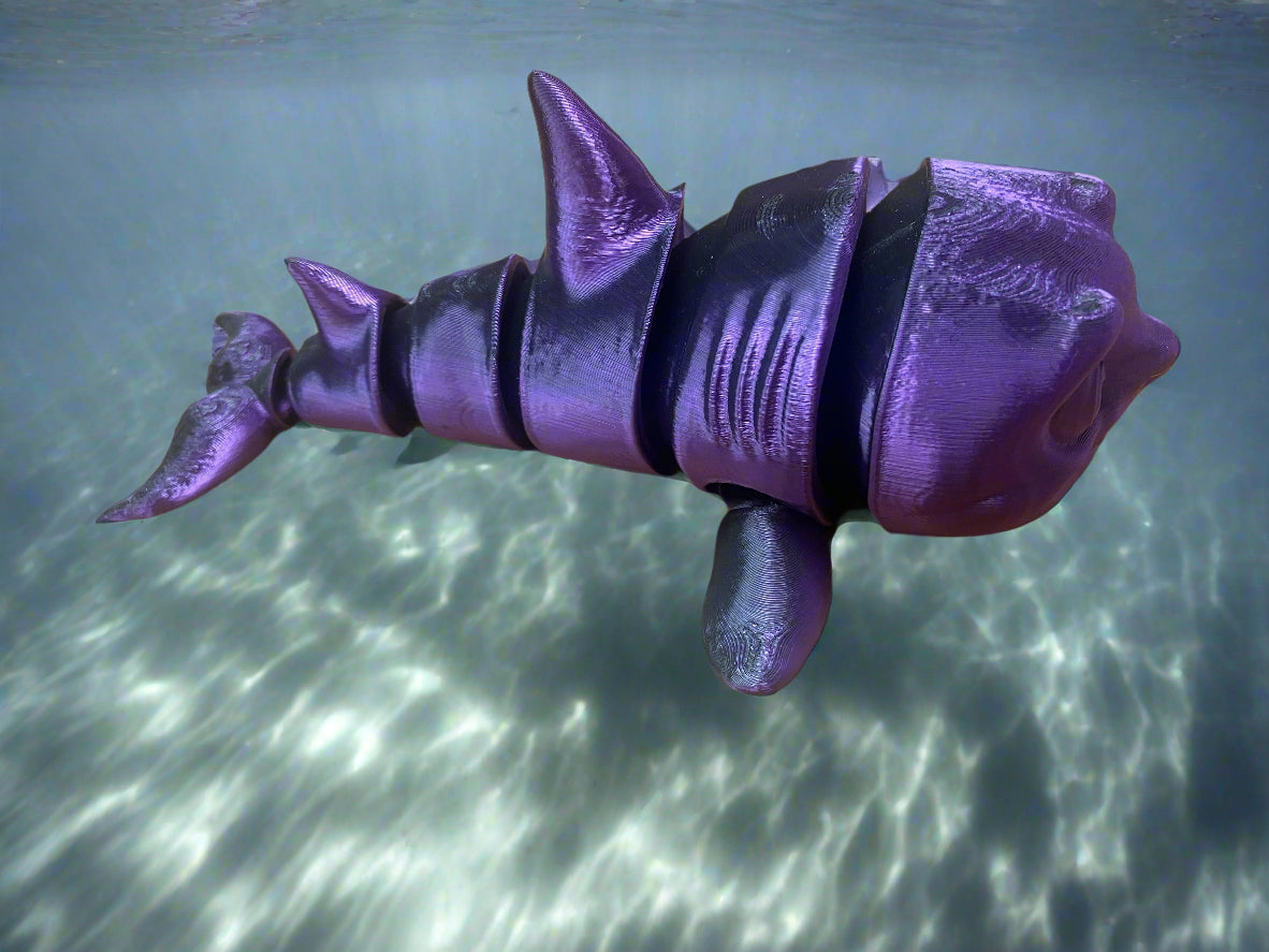 Shark