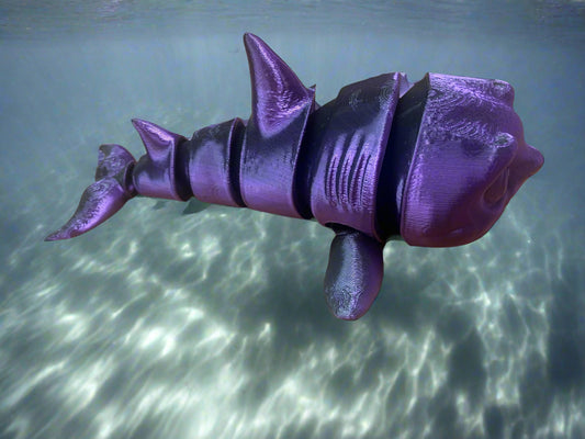 Shark