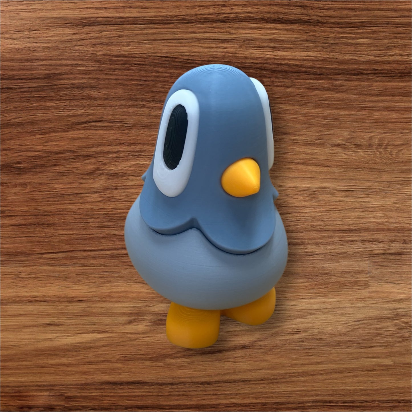 Cute Pigeon