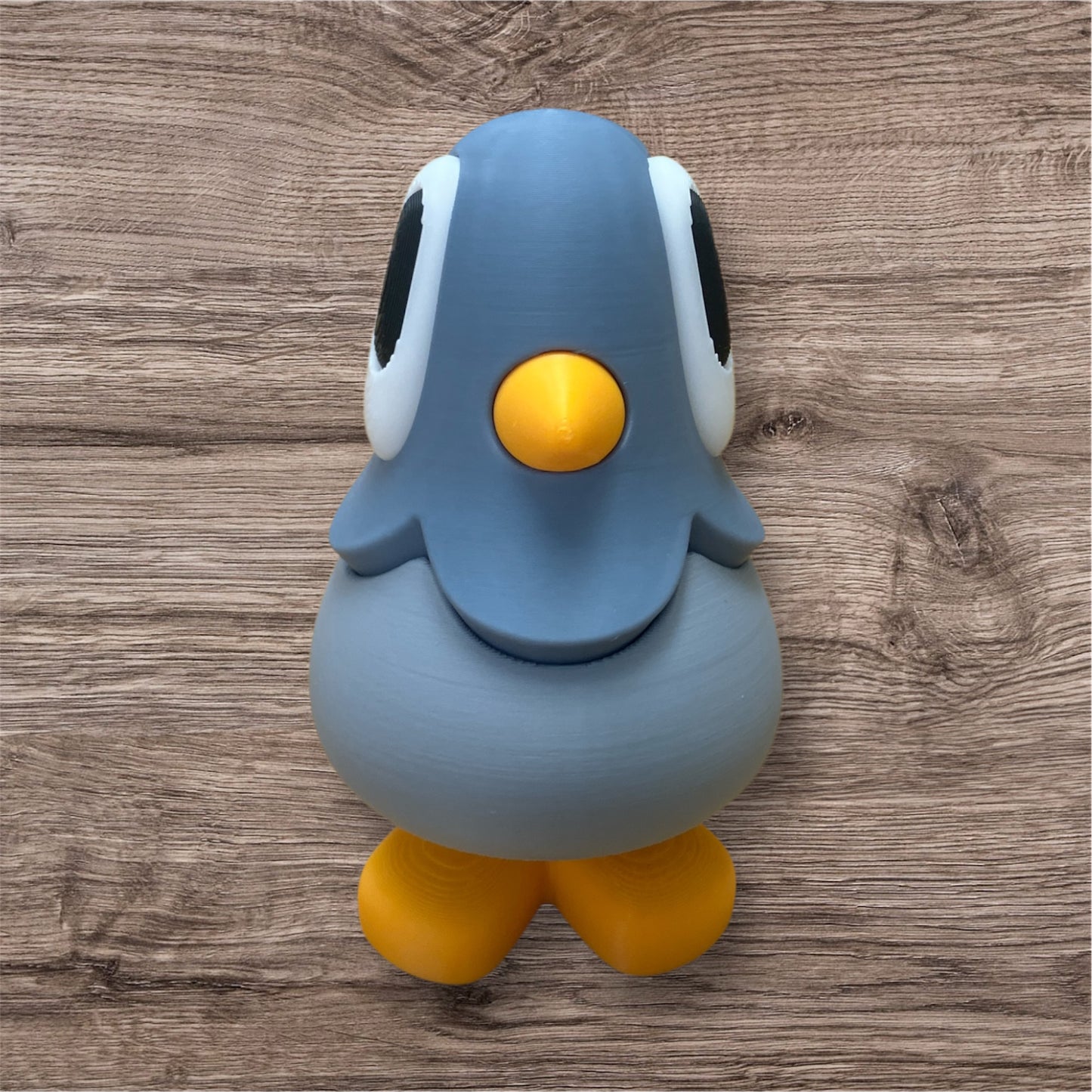 Cute Pigeon