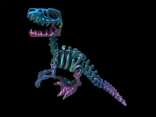 Raptor